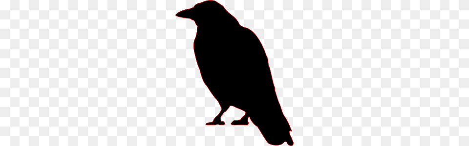 Crows Ravens Crow Crow, Animal, Bird, Bow, Weapon Png Image