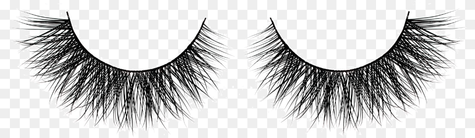 Cruelty Eyelash Extensions Beauty Hair Transparent Background Eyelash Transparent, Accessories, Jewelry, Necklace, Plant Png Image