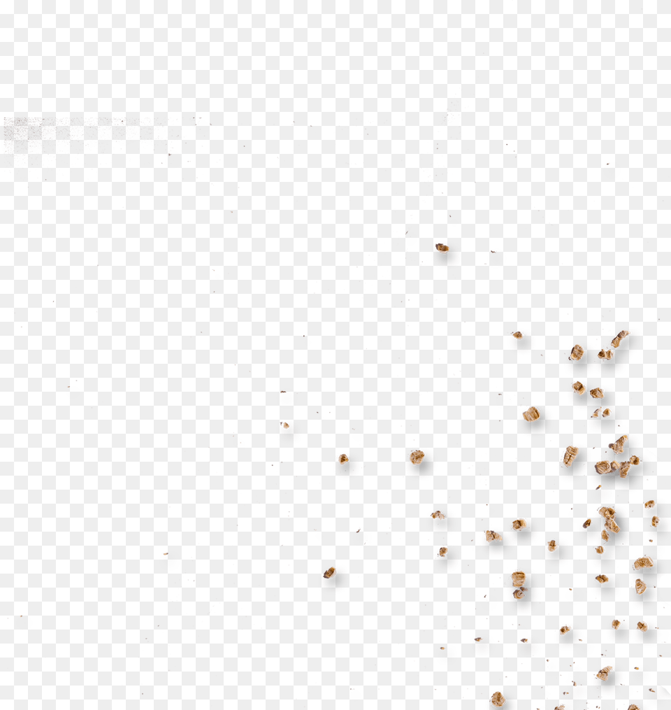 Crumbs Invertebrate, Paper, Art Png Image