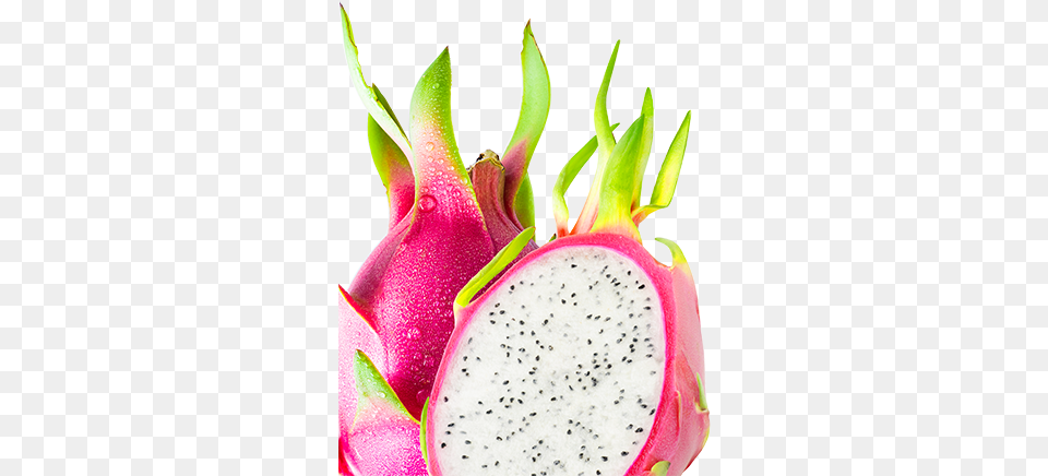 Crunchy White Dragon Fruit U2013 Volupta Pitaya, Food, Plant, Produce Png Image