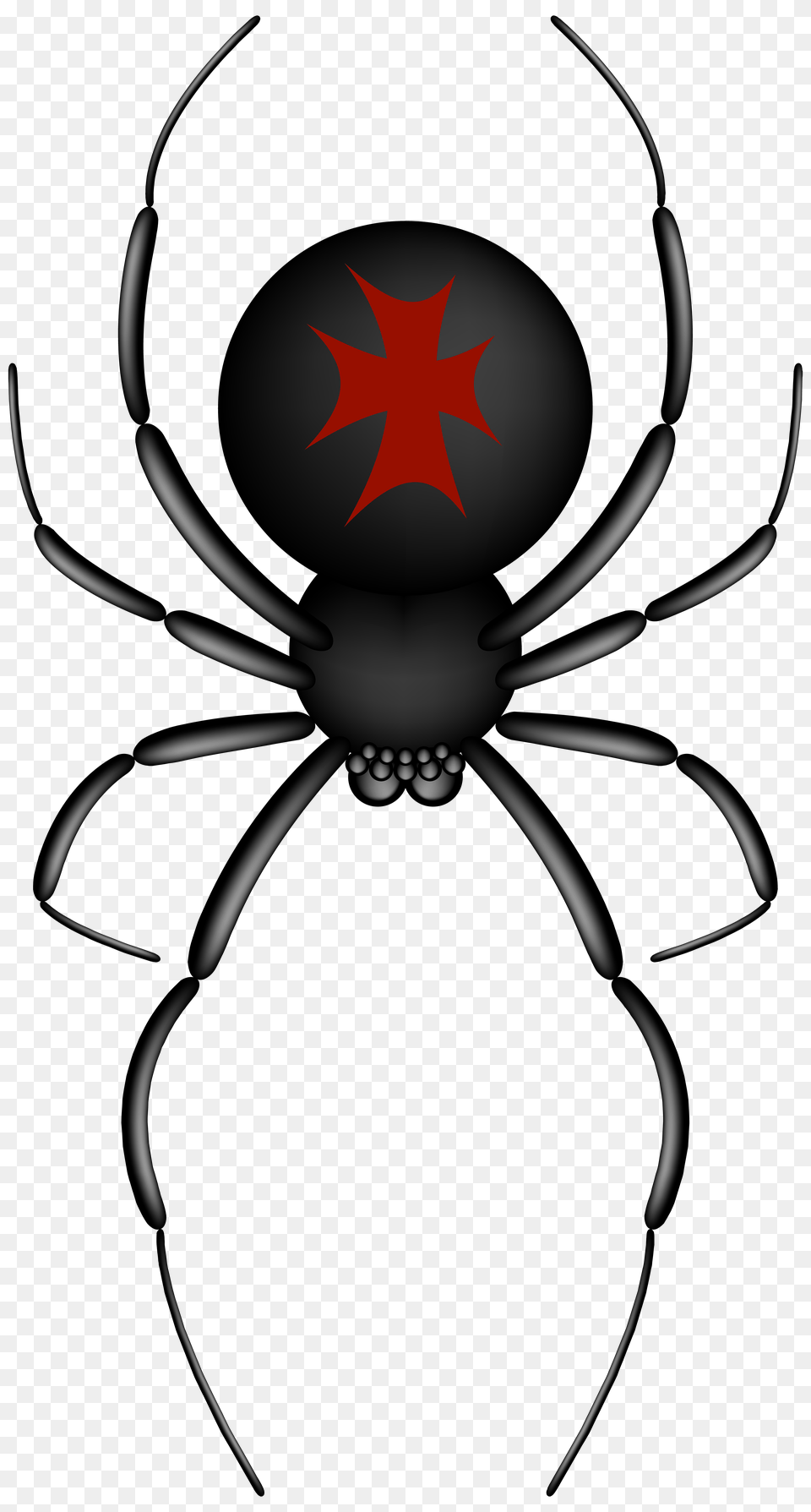 Crusader Spider Clip Art Gallery, Animal, Invertebrate, Symbol Free Transparent Png