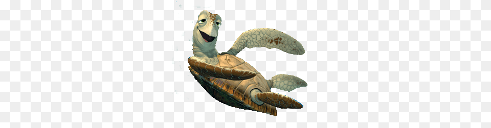 Crush Finding Nemo, Animal, Reptile, Sea Life, Sea Turtle Free Transparent Png