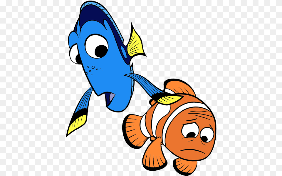 Crush Finding Nemo, Animal, Sea Life, Face, Head Free Png Download