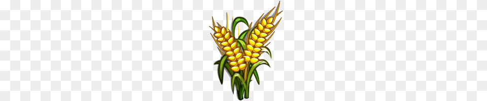 Cruz Dehoniana Image, Corn, Food, Grain, Plant Free Png
