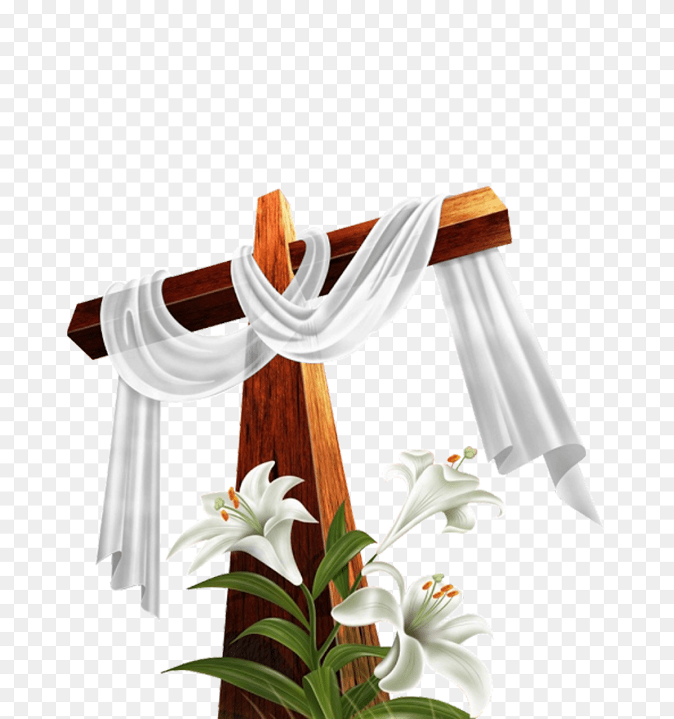 Cruz Em Quero Imagem, Flower, Plant, Petal, Flower Arrangement Free Png Download