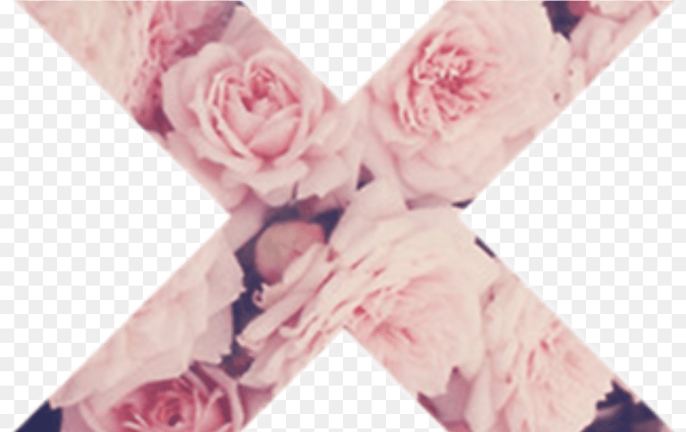 Cruz Flores Rosas Grunge Pink Tumblr Desktop Backgrounds Tumblr Vintage Flowers, Flower, Plant, Rose, Petal Free Transparent Png