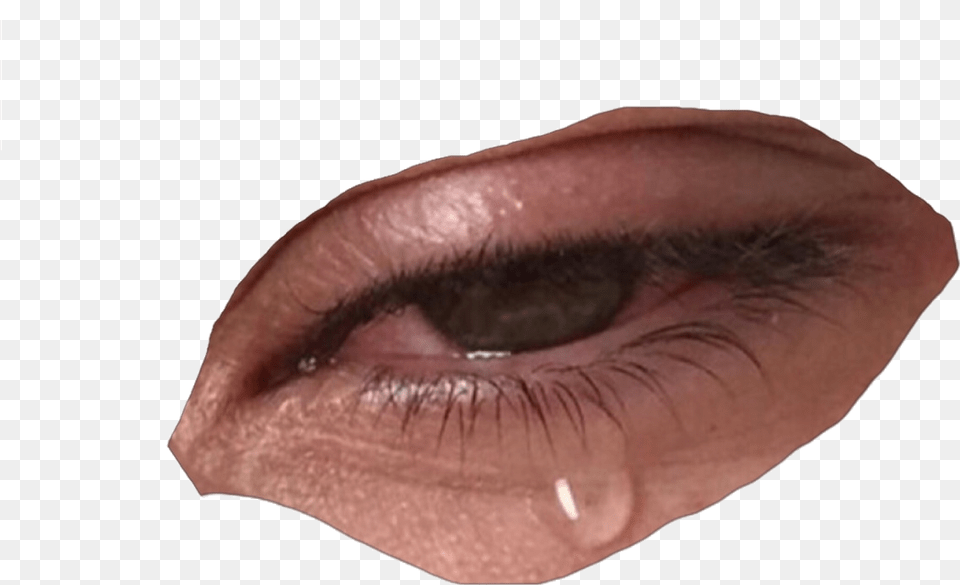 Cry Crying And Mood Image Niche Meme Fillers, Person, Body Part, Mouth, Face Free Transparent Png