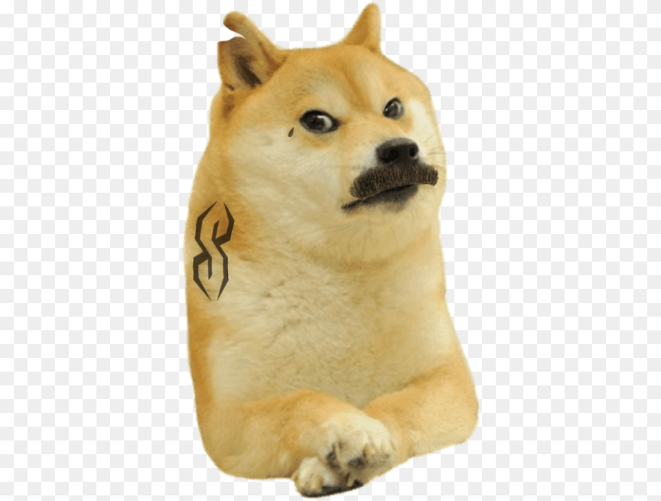 Crying Laughing Emoji Doge, Animal, Canine, Dog, Husky Png Image