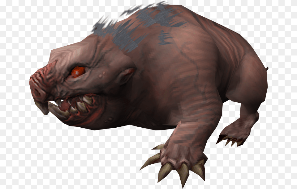 Cryptid, Baby, Person, Animal, Pig Free Png
