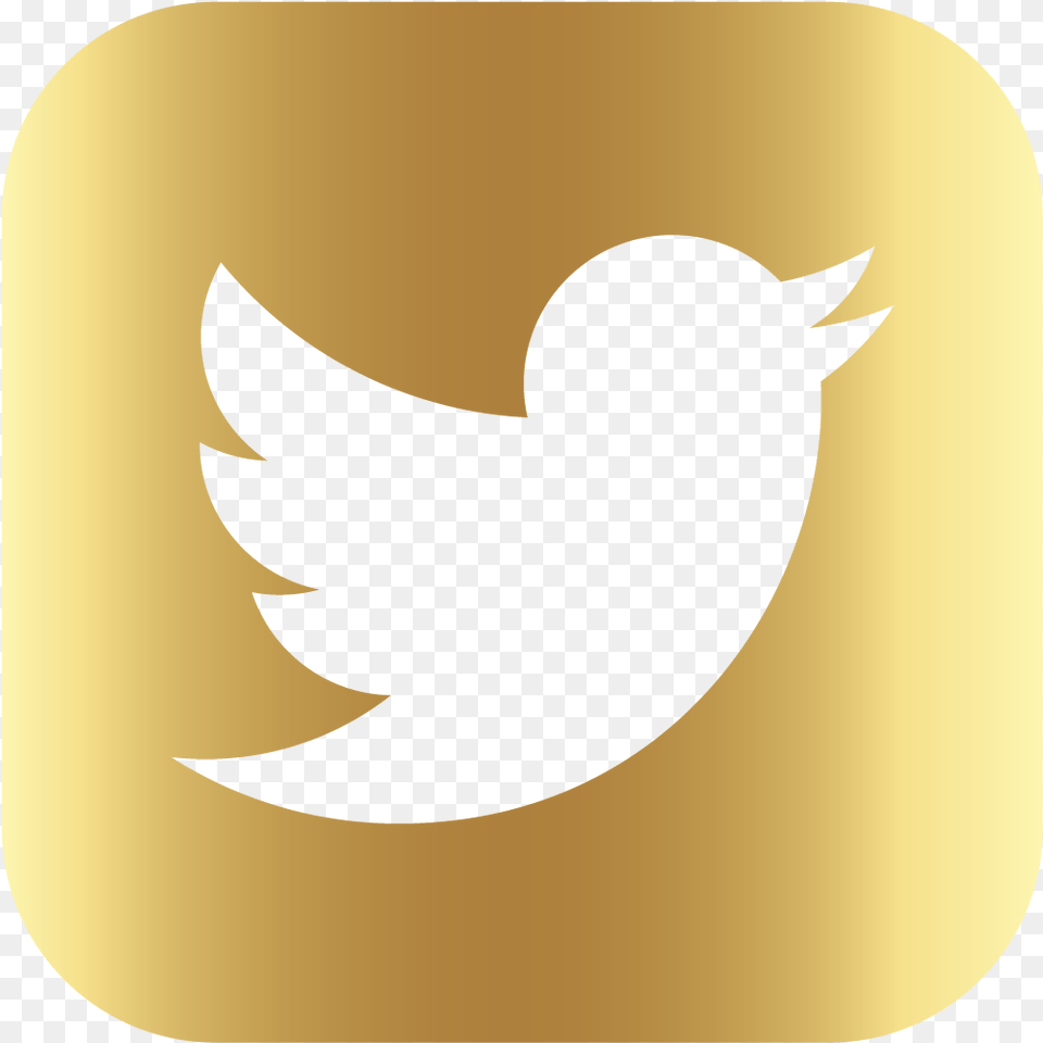 Crypto Twitter, Animal, Bird, Blackbird, Logo Free Png Download