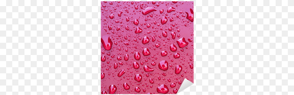 Crystal Clear Water Drops Over Red Background Sticker U2022 Pixers We Live To Change Drop, Flower, Petal, Plant, Droplet Free Png