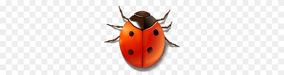 Crystal Project Bug, Animal Free Png Download