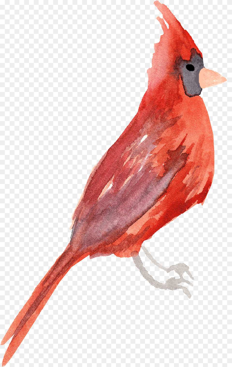 Crystal Red Bird Decorative, Animal, Cardinal, Blade, Dagger Free Transparent Png