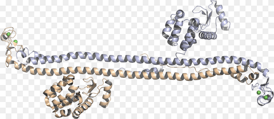 Crystal Structure Of The Trim5 Hiv 1 Restriction Factor, Rope, Accessories, Jewelry, Necklace Free Png