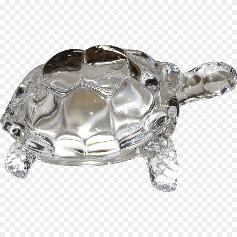 Crystal Turtle, Animal, Reptile, Sea Life, Tortoise Png Image