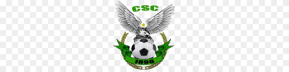 Cs Constantine, Ball, Football, Soccer, Soccer Ball Free Png