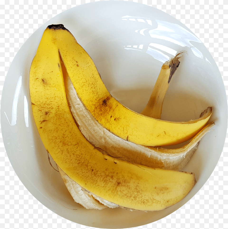 Cscara De Pltano Qu Beneficios, Banana, Food, Fruit, Plant Png