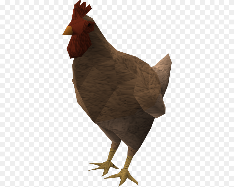 Csgo Chicken Gif Cs Go, Animal, Bird, Fowl, Hen Png Image