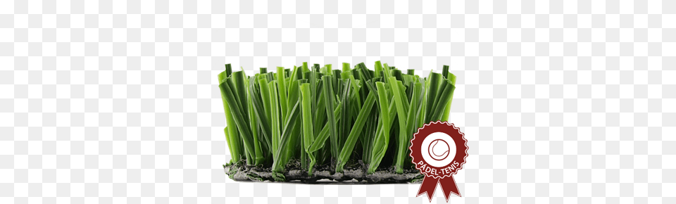 Csped Artificial Drive Pro Para Pistas De Pdel Sweet Grass, Plant, Food, Leek, Produce Free Transparent Png