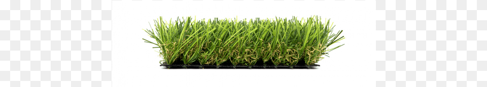 Csped Artificial Xcellent Grass Cesped Artificial, Plant, Potted Plant, Soil, Vegetation Free Transparent Png