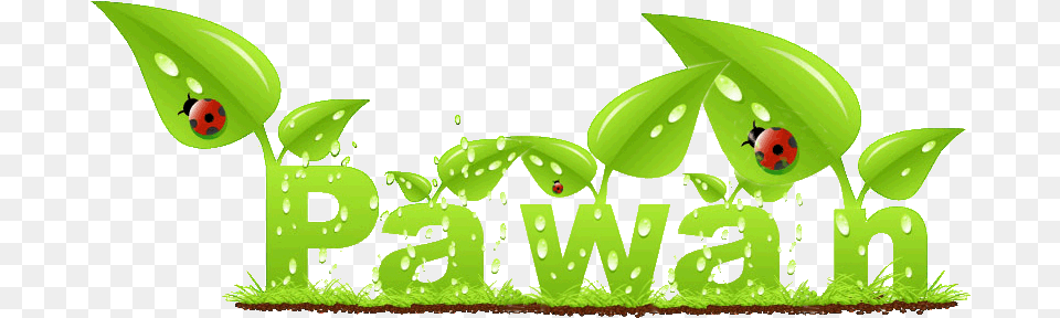 Css Flash And Pulse Effects Pawan Logo, Green, Leaf, Plant, Grass Free Png Download