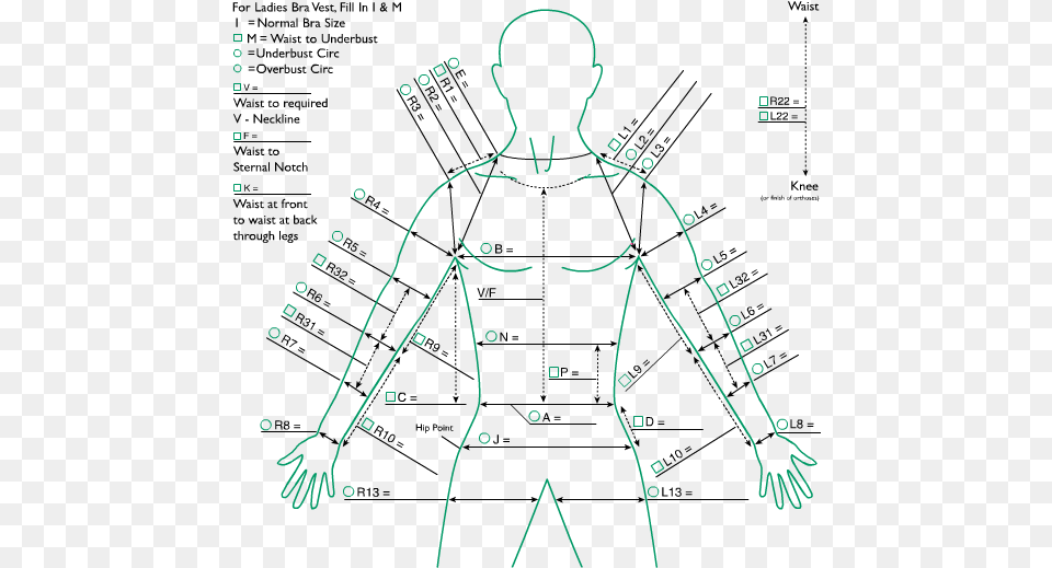 Ct Leotard 2 Arms Diagram, Chart, Plot, Person, Measurements Png Image