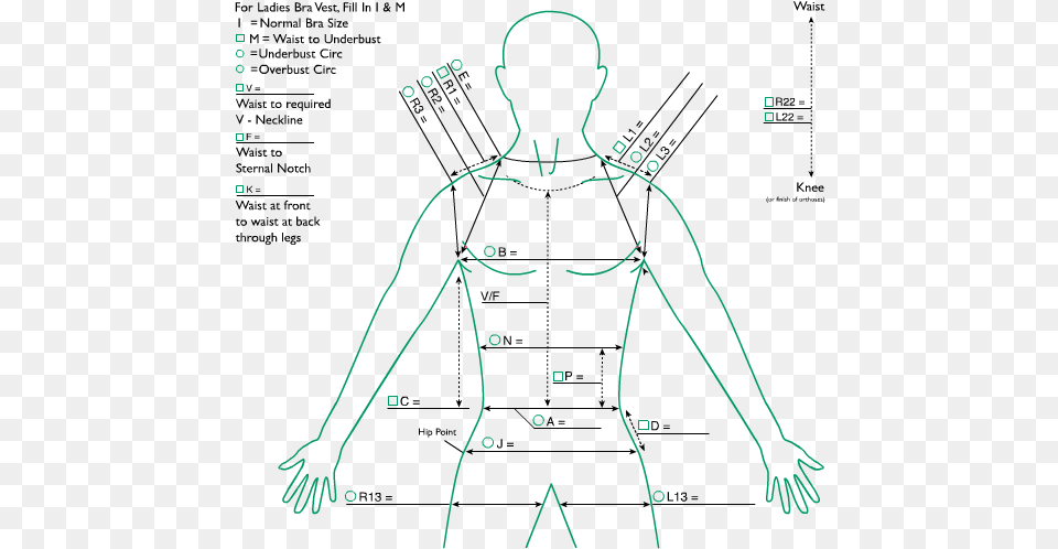 Ct Leotard No Arms Diagram, Chart, Plot, Person, Measurements Png Image