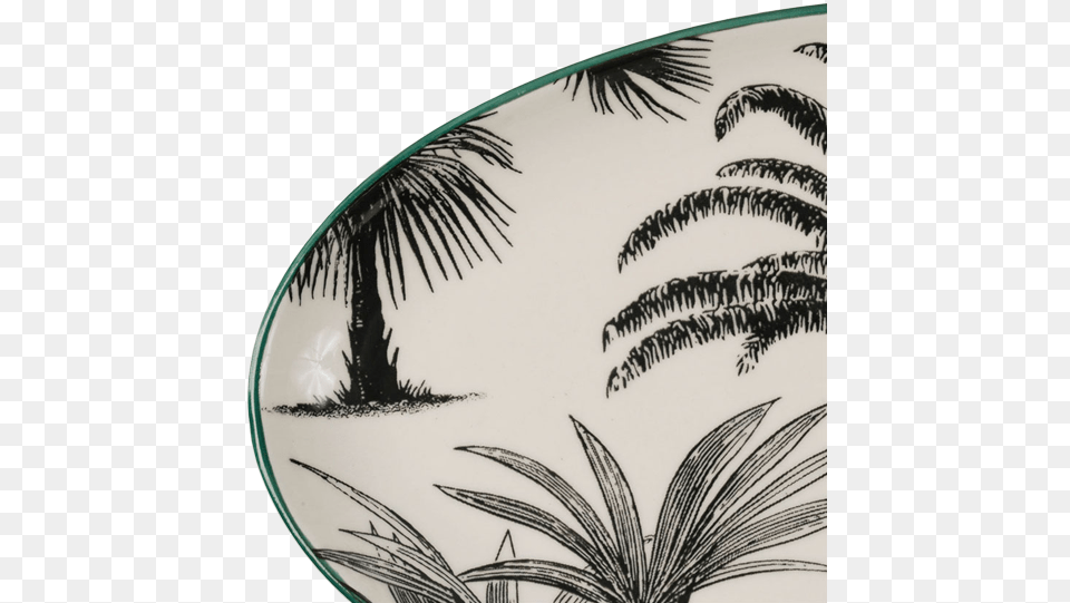 Ct Table Tropical Oval Plate Small Attalea Speciosa, Water, Sea Waves, Sea, Outdoors Free Transparent Png
