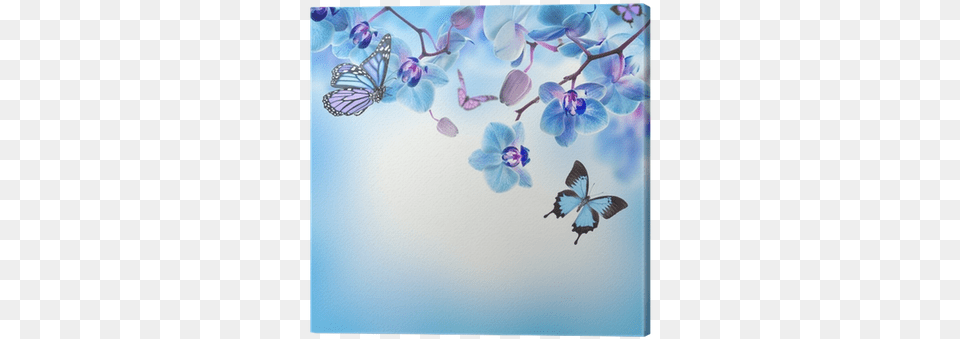 Cuadro En Lienzo Fondo Floral De Orqudeas Tropicales Blue Flowers And Butterflies, Flower, Plant, Petal, Animal Png Image