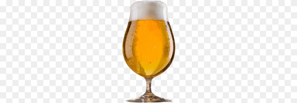 Cuadro Para La Categora Importadas Set Of 4 Spiegelau 155 Oz Beer Tulip Glass Bar Amp, Alcohol, Beverage, Beer Glass, Lager Png