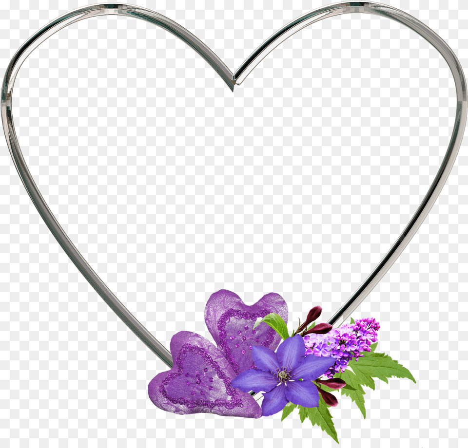 Cuadros Para Foto, Flower, Geranium, Plant, Purple Free Transparent Png