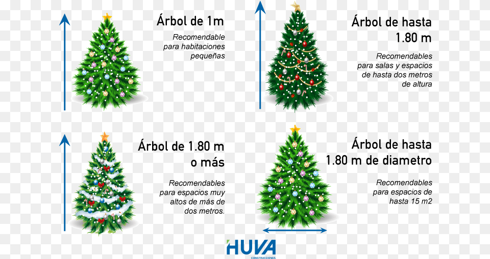 Cuanto Mide Arbol De Mostaza, Plant, Tree, Christmas, Christmas Decorations Png Image