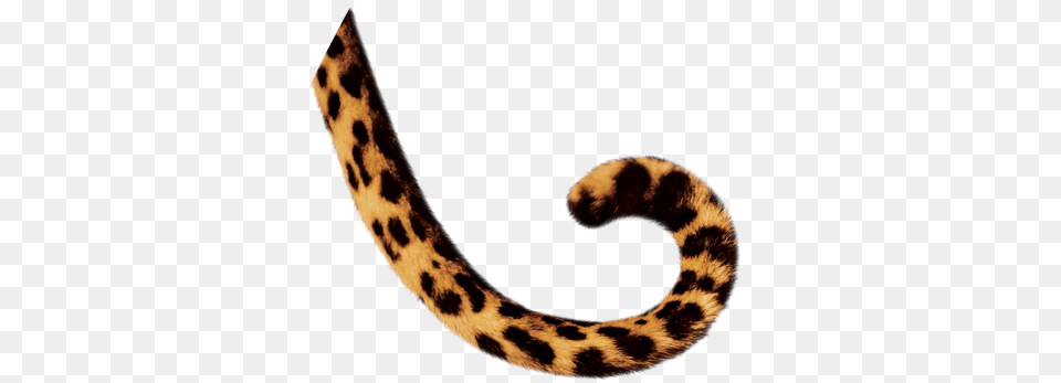 Cub Clipart Tiger Tail, Animal, Mammal, Panther, Wildlife Free Png