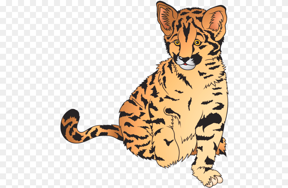 Cub Clipart Zoo Animal Zoo Animals Clip Art, Mammal, Tiger, Wildlife Free Png