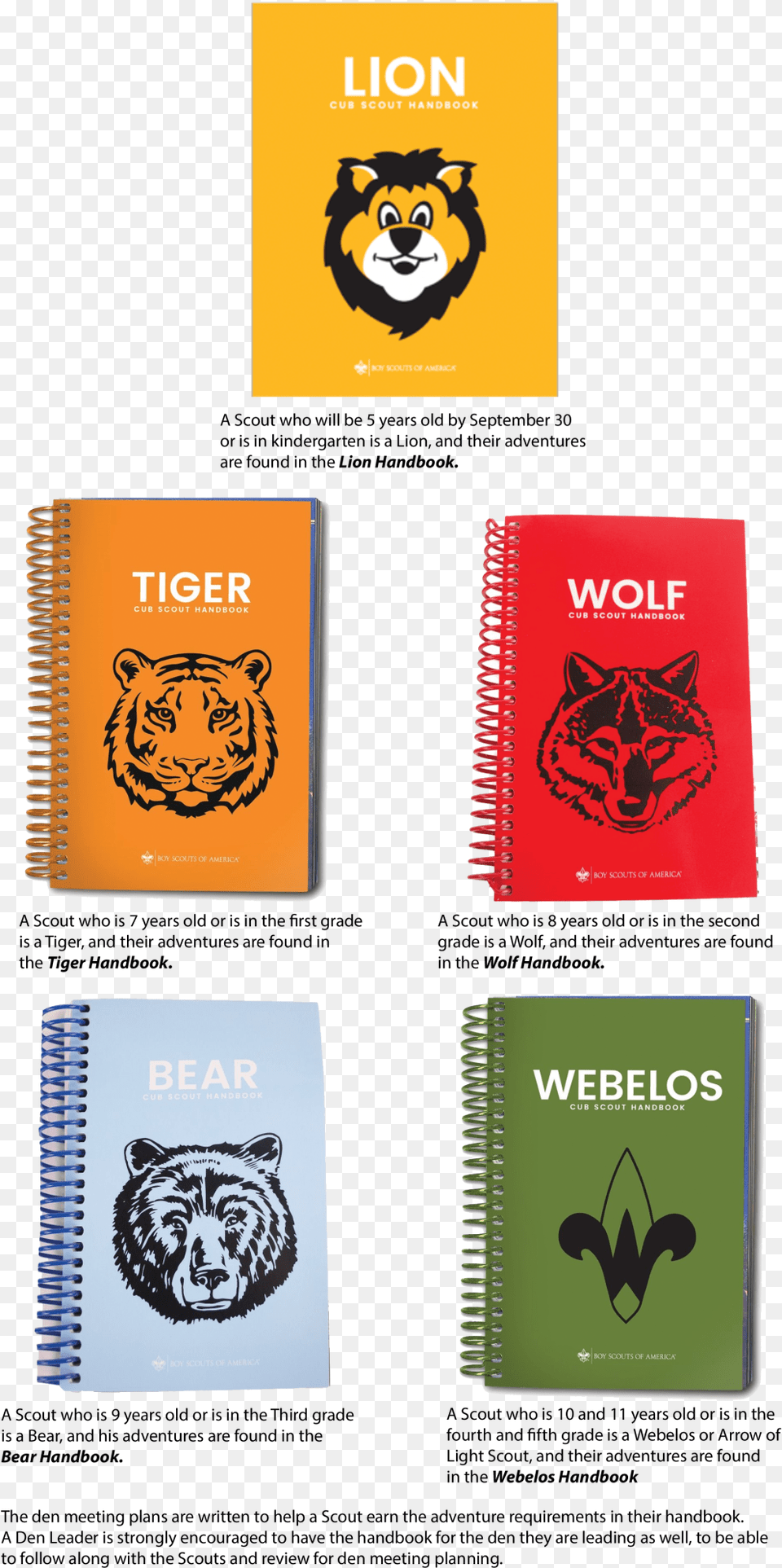 Cub Scout Ages And Ranks Cub Scouting, Animal, Publication, Mammal, Book Png Image