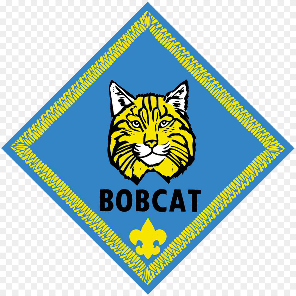 Cub Scouting, Badge, Logo, Symbol, Animal Free Png