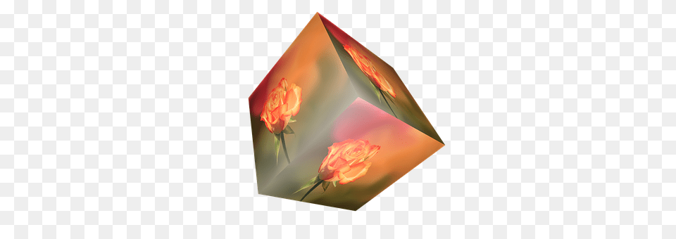 Cube Flower, Plant, Rose, Art Free Png Download