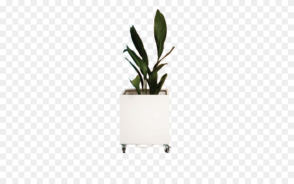 Cubic Planter Garden Accessories Contract Furniture, Jar, Plant, Potted Plant, Pottery Png