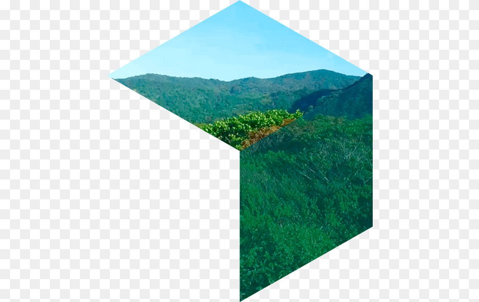 Cubo Background, Vegetation, Plant, Outdoors, Nature Png