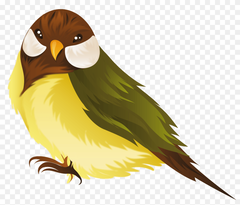 Cuckoo Bird Clipart Winging, Animal, Beak, Finch, Fish Png Image