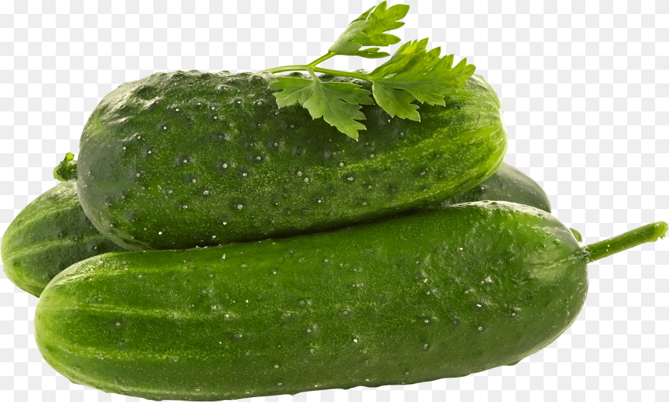 Cucumber Free Png