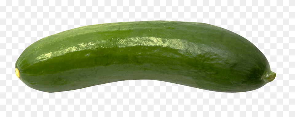 Cucumber, Food, Plant, Produce, Vegetable Free Png Download