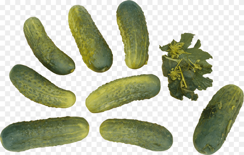 Cucumber Free Png Download