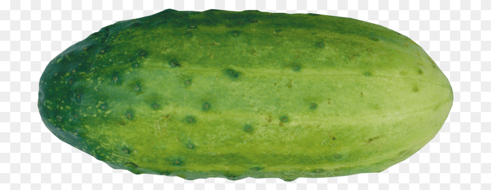 Cucumber, Food, Plant, Produce, Vegetable Free Png Download