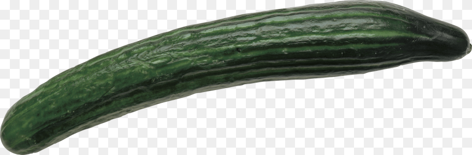 Cucumber, Food, Plant, Produce, Vegetable Free Png Download