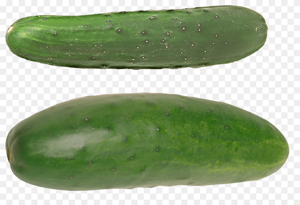 Cucumber, Food, Plant, Produce, Vegetable Free Transparent Png