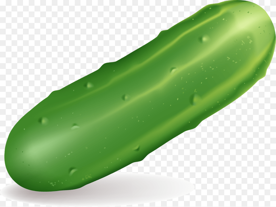 Cucumber, Food, Plant, Produce, Vegetable Png Image