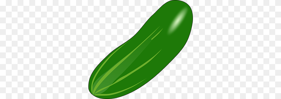 Cucumber Food, Plant, Produce, Vegetable Png