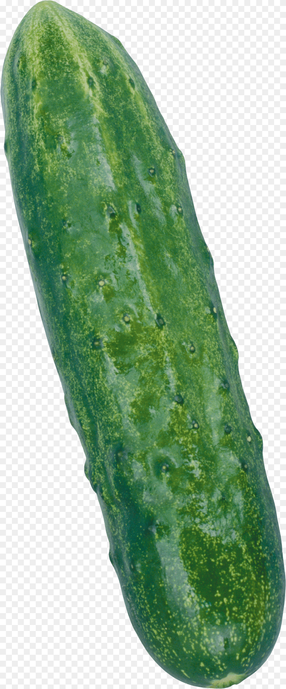 Cucumber Png