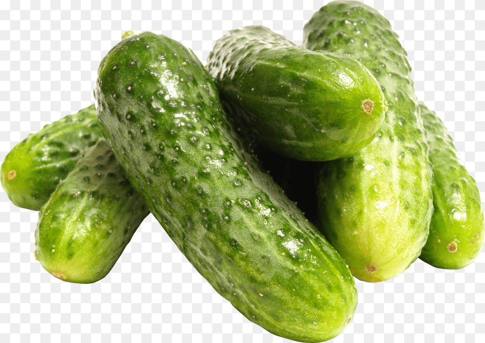 Cucumber, Food, Plant, Produce, Vegetable Free Png Download